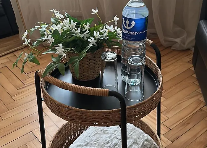 Apartment Cozy Apartment- Self Check- In